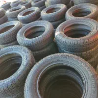 عرضه لاستیک با نرخ دولتی