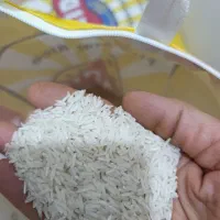 برنج پاکستانی . خوش پخت|خوردنی و آشامیدنی|زرندیه, |دیوار