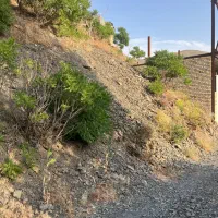 زمین فروشی در روستای خوش آب و هوای زشک