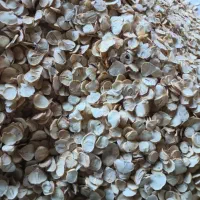 موسیر خشک درجه یک