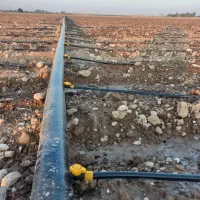 نصب و لوله کشی قطره ای