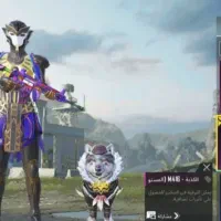 اکانت پابجی مایل به معاوضه