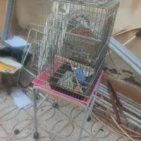 قفس طوطی باپایه در حد نو