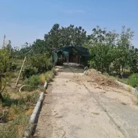 ۲۵۰متر باغچه سهیلیه زعفرانیه اقبالیه دولت اباد|فروش زمین و ملک کلنگی|کرج, مهرویلا جنوبی|دیوار