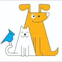 همکار خانم جوان مجرد جهت همکاری در پت شاپ