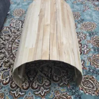 لونه مخصوص خوکچه هندی و خرگوش و ظرف غذا