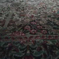 قالی12متری