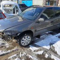 زانتیا تصادفی