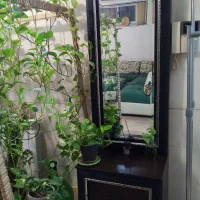 سرویس خواب تمام ام دی اف با کیفیت|تخت و سرویس خواب|شیراز, کوی قضات|دیوار