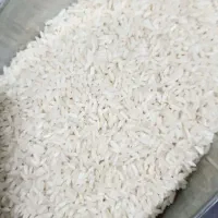 برنج عنبربو دیره