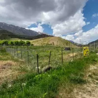 فروش باغچه ۵۶۲ متری ارجمند روستای نجفدر|فروش زمین و ملک کلنگی|ارجمند, |دیوار