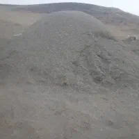 گیاه مخصوص گوسفند