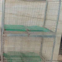 قفس ۲طبقه امپراطور(برهما)شرکت پرآور