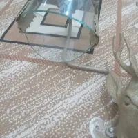 روشنایی|لامپ و چراغ|شاهین‌شهر, گرگاب|دیوار