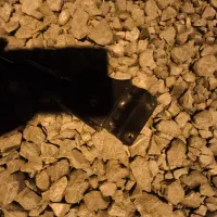 جک دوچرخه|دوچرخه، اسکیت، اسکوتر|چمستان, |دیوار