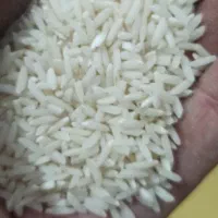 برنج طارم زیر قیمت بازار