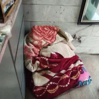 ۹۹ تومن خشکشویی پاسارگاد داره میترکونه|خدمات نظافت|مشهد, فدک|دیوار