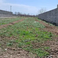 زمین ۶۶۰ متر در فوشنجان|فروش زمین و ملک کلنگی|نیشابور, فضل|دیوار