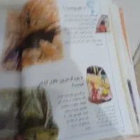 کتاب دایرةالمعارف جلد دوم|کتاب و مجله آموزشی|شیراز, شهرک گلها|دیوار