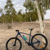 دوچرخه اسکات ۲۰۲۳تنه ۲۹ L