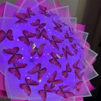 گل روبانی و پروانه