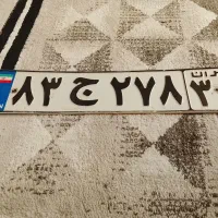 پیداشده