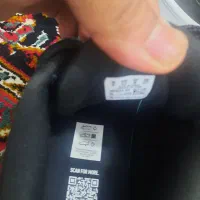 کفش پوما اصل|کیف، کفش، کمربند|مریوان, |دیوار