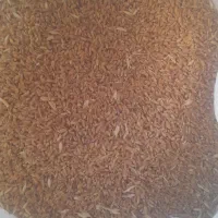 گندم برا فروش