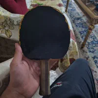 دسته تنیس روی میز|ورزشهای توپی|پیشوا, |دیوار