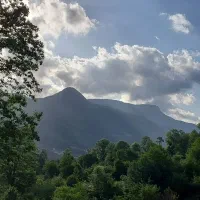 اجاره ویلا باغ|اجارهٔ کوتاه‌مدت ویلا و باغ|پل سفید, |دیوار