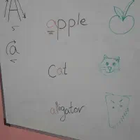 آموزش خصوصی زبان کودکان (گلسار و منظریه)