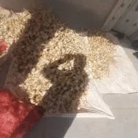 سیر اصل همدان