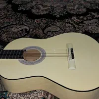 گیتار با تمام وسایل