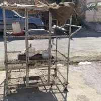 گاری|ابزارآلات|زابل, |دیوار