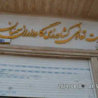 جذب خانم خدماتی