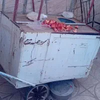 گاری باقالی|فروشگاه و مغازه|نیشابور, بنیاد شهید|دیوار