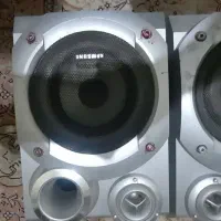 ظبط خانگی