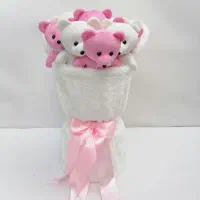 بوکت تدی|اسباب‌بازی بچه|شیروان (خراسان), |دیوار