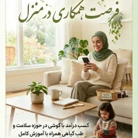 کار در منزل
