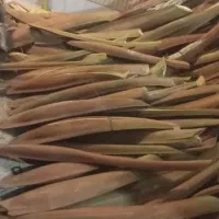 خرید و فروش بو نخل (ابره) به صورت جزئی و کلی