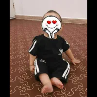 موکت