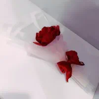 گل روبانی|گل مصنوعی|قیدار, |دیوار