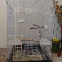 قفس بزرگ کاسکویی سقف باز شو. به همراه پایه|لوازم جانبی حیوانات|تهران, امیریه|دیوار