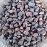 کشمش آفتابی