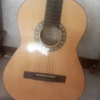 گیتار گودمن