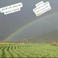 بیمه ثالث و بدنه اقساطی