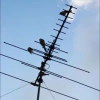 نصاب انواع دیجیتال|خدمات پیشه و مهارت|شاهینشهر, مسکن مهر|دیوار