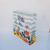 ساک دستی مقوایی آماده|فروشگاه و مغازه|تهران, شهران جنوبی|دیوار