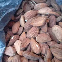 مغز بادام