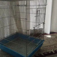 قفس بزرگ برای همه پرنده ها + وسایل